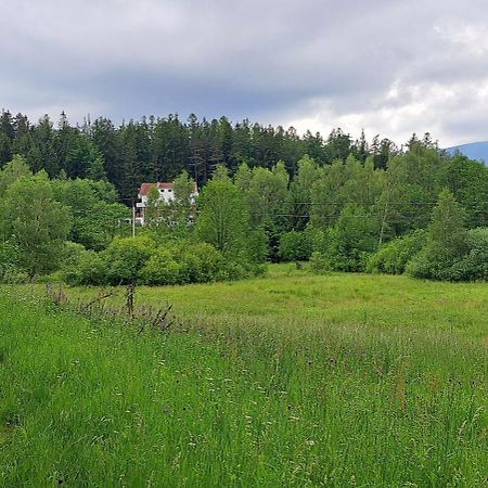 Gorskie Zacisze Bed and Breakfast Borowice Buitenkant foto